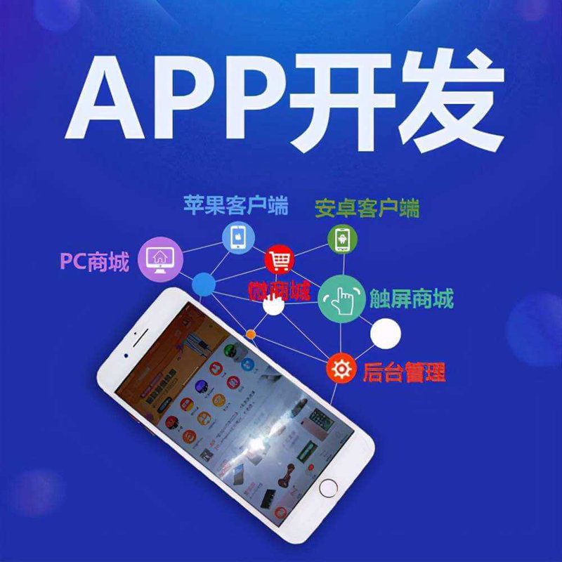 移动端APP开发——撬动数字化转型的新钥匙